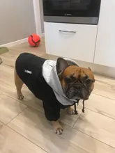 Jacket French Bulldog Dog Winter SUPREPET Coat Pet-Dog Dogs Large Cotton for Warm Perro