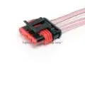 

Shoe to бензонасосу sensor fuel level VASES with leads (Cargen) АХ-308