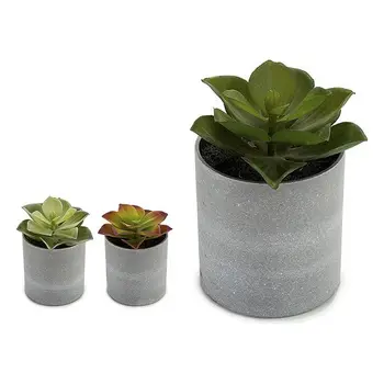

Plant pot Ibergarden (7,5 x 11 x 7,5 cm)