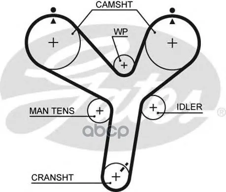 Ремень Грм Mitsubishi Pajero Gates арт. 5536XS
