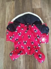 Disfraces de Bulldog Francés para perro, chaqueta de plumón de nieve cálida para invierno, abrigo para cachorros de animales pequeños y medianos, Gato, productos de ropa