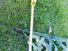 5*6m/1,5*3m Red de camuflaje militar camuflaje red ultraligero coche acampada, jardín tienda de lona toldo refugio para el sol Red de camuflaje de malla