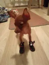 Boots Pet-Shoes Dog Large Waterproof Anti-Skid Small Winter Golden Warm Big 8-Sizes Wear-Resistant