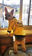 Overalls Sweaters Jacket Pet-Costume Yorkies Dogs Coat Small 