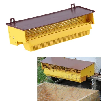 

Bee Pollen Trap Collector Bee Hive Entrance Beekeeping Tool Plastic Pollen Trap Bee Keeping Tray Garden Tool