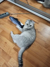 Doll-Pillow Cat-Toy Cat Mint Simulation-Fish Grass-Carp Funny New Pet-Molar