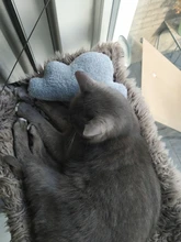 Almohada en forma de nube blanca y gris, cojín de peluche relleno, ropa de cama, habitación de bebé, decoración del hogar, regalo de cumpleaños de niña