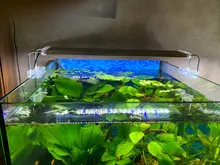 Led-Lighting Aquarium Chihiros Fish-Tank Aquatic-Plant Sunsun Ade Nicrew SMD 18W 220V