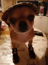 Boots Pet-Shoes Dog Large Waterproof Anti-Skid Small Winter Golden Warm Big 8-Sizes Wear-Resistant