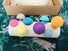 Bloques de arcoíris de madera Montessori para bebé, juego de recolección de setas, juguetes educativos de madera para bebé, ensamblaje a juego con forma de desarrollo