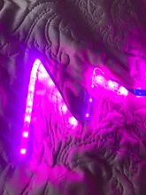 Phyto Lamp Flowers Grow-Light Greenhouse-Cultivo Smd-Plants Strip-0.5m Hydroponic Full-Spectrum