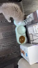 Pet-Feeder Pet-Products Food-Bowl Water-Dispenser Cats Drinking Automatic Dogs for 2-In-1
