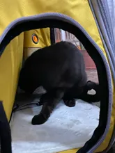 Bolsa de viaje de burbuja con ventana de astronauta, cápsula espacial transpirable, mochila transparente, mochila portamascotas, mochila para perro y gato