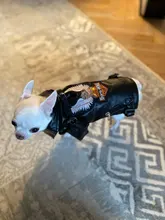 Jacket Dog-Coat Puppy Eagle-Pattern Waterproof Outdoor Outerwear Pet Small Soft Fashion