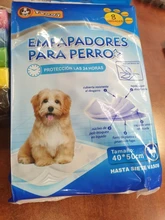 Buena Marca Bolsas Caca Para Excrementos De Perro 90/150/300/600/900/1200/1500 Bolsa Multicolor negras para caca de  perros