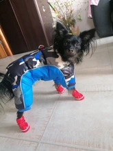 Clothing Jumpsuits Pet-Jacket Dog-Coat Reflective Small Dogs Pug Chihuahua Waterproof