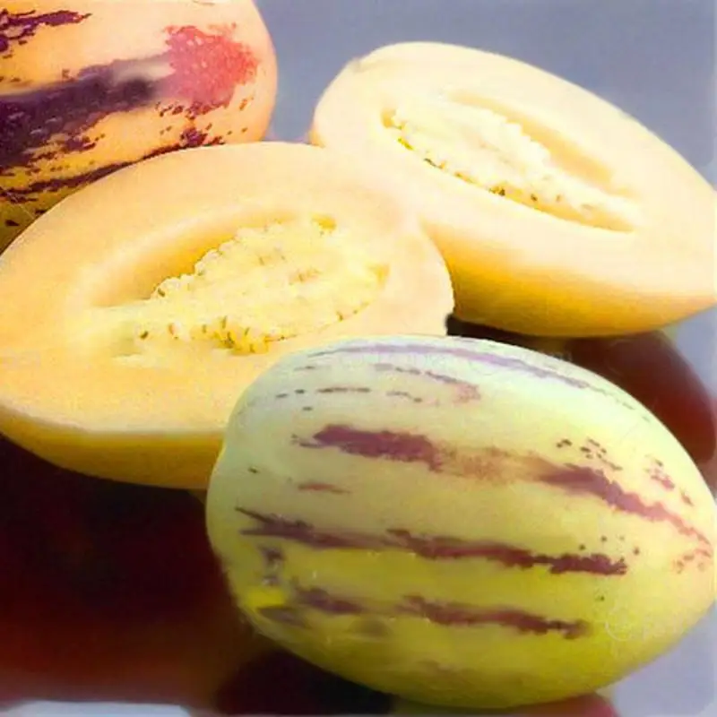 пепино дынная груша семена. пепино дынная груша. солнечный круг на пиприно. дынная груша семена. пепино.