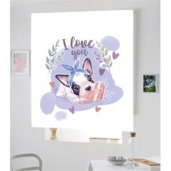 

Blind Iroa Digital Pet 031! ROLLER BLINDS TRANSLUCENT! (100X170)