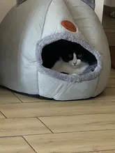 Cama de invierno para gatos, alfombrilla pequeña, cesta para perro pequeño, productos de tienda para mascotas, cueva acogedora, cama interior, Comodidad para dormir