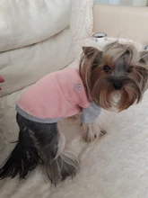 Ropa de perro de moda ropa de invierno para perros pequeños perros mediano chaqueta de abrigo Chihuahua ropa para mascotas para pequeño mediano perros Carlino