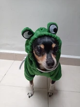 Dog Winter Warm Clothes Cute Plush Coat Hoodies for bulldog Pet Costume Jacket