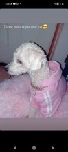 Camas redondas de felpa para gatos, cama de perro suave y larga para canasta para perros, cojín, cama para gatos, alfombrilla para animales, sofá para dormir, productos para mascotas