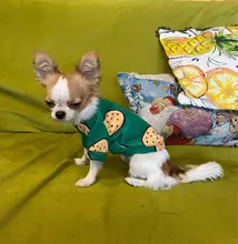 Warm Dog Sweatshirt Puppy-Clothes Dog-Costume Soft-Fleece Chihuahua Winter Yorkshire