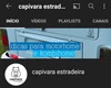 Изображение товара 3