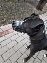 Bozal ajustable para perros de compañía, 7 tamaños, cesta de plástico resistente, diseño antimordedura, máscara bucal para perros y gatos 35, 1 Uds.