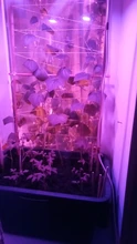 Lamps Growing-Lamp Led-Bulbs Seedling Greenhouse-E14 Phyto B22-Plant GU10 Full-Spectrum
