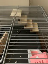 Toy Cage Ladder Hamster Chew-Toys Tunnel Sugar-Glider Playground Rat Climbing Habitat