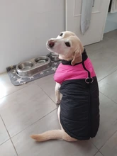 Chaleco impermeable para perros grandes y pequeños, abrigo cálido de invierno para cachorros, ropa para mascotas, 4XL, 5XL, nuevo