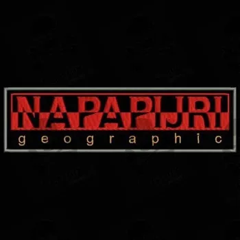 

NAPAPIJRI Iron patch Toppa ricamata gestickter patch brode remendo bordado parche bordado