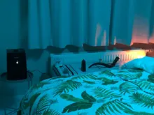 Air-Humidifiers Proscenic Warm And 808C with App-Control Touch-Screen Adjustable Fog-Quantity