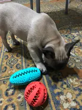 Dog-Toy Rubber-Kong Dog-Chew-Ball Teeth-Cleaning-Tools Labrador Interactive French-Bulldog