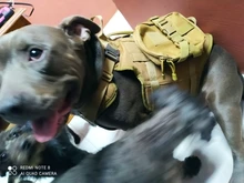 Vest Pouches Pet-Harness Dogs No-Pull Training Molle Military Hiking Tactical Large Medium