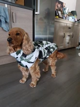 Dog Coat Dog-Jacket Labrador Reflective Large Breed Chihuahua Waterproof Winter Overalls