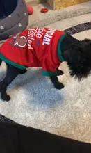 Shirt Pet-Clothing Dog-Costume Puppy Dogs Vest Christmas Chihuahua Cotton Small Medium