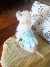 Dress Pet-Clothing Puppy-Cat-Dresses Chihuahua Princess Yorkshire Dogs Small Medium 