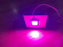 Phyto-Lamp Flower-Growth-Lighting Seedling Led Grow Cob-Chip Indoor-Plant Full-Spectrum