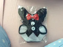 Elegante pajarita arnés tipo chaleco para perro con correa ajustable, Gato conjunto de Correa y arnés lindo arco nudo esmoquin para gatos gatito cachorro
