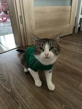 Vest Costume Pets-Sweater Dog-Coat T-Shirt Kitty For Cats Outfit Clothing Pet-Dog Dogs