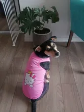 Cartoon Cat Costume Cute Cozy Pet Clothes for Cats Katten Kedi Hoodie Mascotas Mascotas