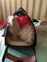 pawstrip 4 Colors Small Dog Carrier Bag Folding Portable Cat Bag Soft Sided Dog Shoulder