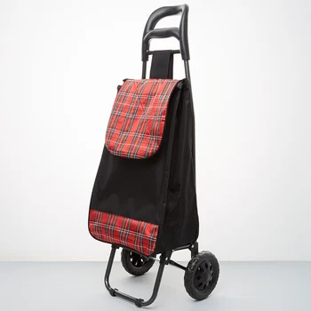 

Trolley luggage hand 25 kg (bag), 50 kg (frame) dt-20 black with red