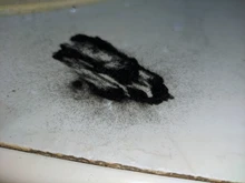 Sevich-corrector para la pérdida del cabello, producto para el cuidado del cabello, tratamiento del cabello con queratina para el crecimiento del cabello, 100g