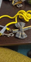 Leash-Collar-Set Pet-Harness Nylon Adjustable Small Walking Outdoor Medium Dog Lovely