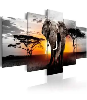 

Picture-Elephant at Sunset