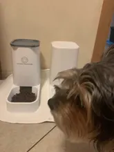 Pet-Bowl Pet-Autommatic Cats Water-Feeder/feeder-Device Small Lovefat for Fmedium