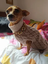 Necklace Pet-Accessories Photos-Props Cat-Chain Kitten Show-Off-Collar Gold Puppy Dogs